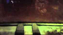 Video EB Big Buddies of S.A. Dichtigkeitstest von GGuardiaNN (TeHuh1om5Lk)