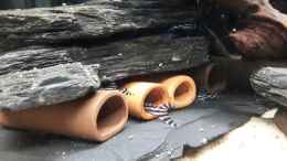 Video 4 Generationen von Thomas De Vries (TxuQbFMkhUY)