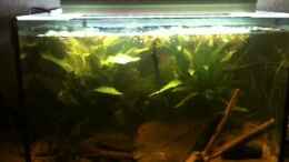 Video Neue LED-Beleuchtung(2 Balken, je 18 x LEDs) + Dimmer von ehemaliger User (U7_u3cX-DGs)