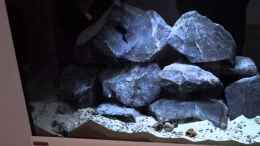 Video Tanganjika 240 Liter von ehemaliger User (UDlQd0Z73xE)