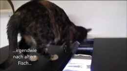 Video Sonntagsgespräche von ehemaliger User (UeggV90sryw)