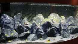 Video Fütterung First Malawi von Stefan von Oettingen (UnM6Pktqf58)