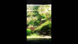 Video a2 von Jungleman (Uy7qg8lLDqw)