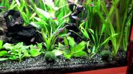 Video Video vom 08.01.2014 von Dieter (V20tXmVg0Bw)