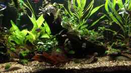 Video 22.04.2020ein Gesamtvideo von herkla (V6rHtk-S13A)