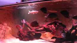 Video Video von Einrichtungsbeispiele.de von Leo-FAN (V9htxYn4eFs)