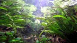 Video Spiele im becken  von Alexander Deepocean (VAO4MpSiYmk)