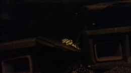 Video Welsbecken 3 von ehemaliger User (VFmDLSi71Ao)