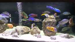 Video neuestes von Malawi-Guard (VGCOBy1rHuk)