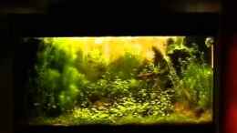 Video Tagesablauf von Nick3 (VNqV_T2it7Q)