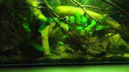 Video Südamerika von ehemaliger User (VO5YeBVHEZ4)