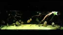 Video altum u diskus 3 von Der Fischer (VRAmCrIqR9A)