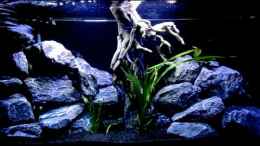 Video Finally von Erik H. (V_S5cIFKa_8)