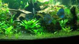 Video Diskus Dream Teil 1 von Benny Visconti (VqkxidK1O6w)