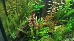 Video Becken03/2017 von Tobim02 (VxSPz4_8IjU)