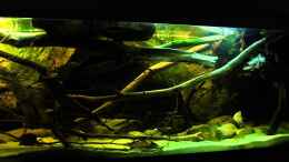 Video Peru Biotop von Laura (VyLZ4czJAjk)