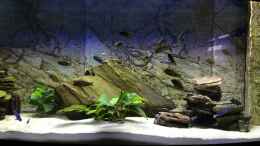 Video Neu von Niko Gröters (W09WN2dDwmM)