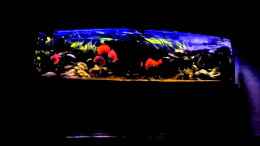 Video Video von Einrichtungsbeispiele.de von ehemaliger User (W2kY1BeUnUw)