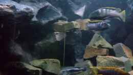 Video Malawi-Delta von wadde (WCBUGjoElno)