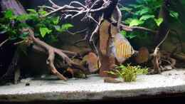 Video Oktober 2019  von ravaka (WGQHsWEVytM)