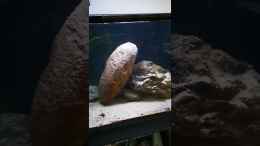 Video 30 Sek  von RalfB (WMfQCjOphIk)