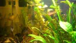 Video Video von Einrichtungsbeispiele.de von ehemaliger User (WRf9cfCXUOU)