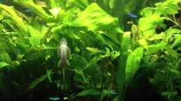 Video Mein Becken nach 2 Jahren von Fransenlippler (WTdPTKQi93E)