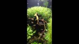 Video Video von Einrichtungsbeispiele.de von Mike St. (WdNS2qFf_Oc)