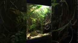 Video Seitenansicht von NaMo (Wls8wWQgsb0)