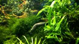 Video ??bersicht 31.05.2019 von ehemaliger User (WmvyVXQ6j5k)