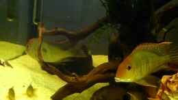 Video Video von Einrichtungsbeispiele.de von Helmut Kreutmayer (WwTmHbYwtkA)