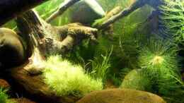 Video Am Seegrund 02 von bergfrau (XAdU-T3xG0w)