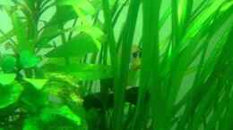 Video Ramirezi von Fabian Ber (XJFQavDJS8c)