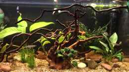 Video Abendruhe von herkla (XbYRu-huTUk)