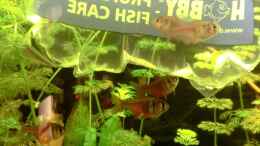 Video Einblick 3 von . (XnF577fRRYo)