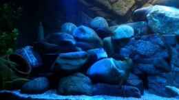 Video Mein Tank von FrankenWasser (XoFotgddQnQ)