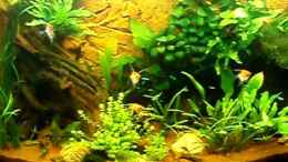 Video Panoramabecken von nokoeh (YIOL_gDFXWw)