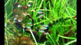 Video Roter Neon von Fabian S. (YLzyQsqKpW4)