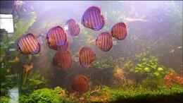 Video Der erste Tag von Christian Roger Rohrer (YUX96YQ1oaE)