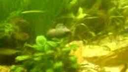 Video wenn grosse kinder spielen X)= von ehemaliger User (Y_lzG0bAPu8)