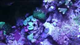 Video Riffkantenbecken Teil3 von Sven Jastrow (ZPBQBo4cNfE)