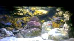 Video Afrikas Lake Malawi-Komplett jetzt mit Suna Eco von Florian Bandhauer (ZlkFmRBVHVY)