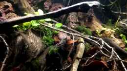 Video Gesamtübersicht 18.10.2019 von ehemaliger User (_1TQyGGJF_s)