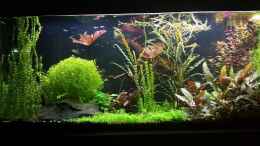 Video 17.06.2016 von Ichigo (_Ig73noX8Ok)