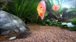 Video Video von Einrichtungsbeispiele.de von ehemaliger User (_OvCc_2nWqc)