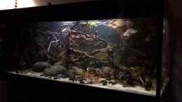 Video Suchbild zwei Aale von NaMo (_QW899Kfbd4)