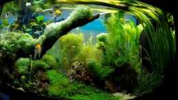 Video Impressions of "Gaja" - Video von einrichtungsbeispiele.de von Sebastian Hartmann (_ZYsMT2dOm4)