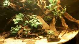 Video Becken nach dem Umbau von ehemaliger User (_ZorhkvLg2w)