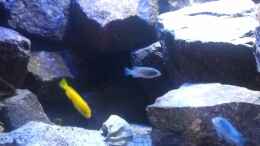 Video Malawitraum von ehemaliger User (_o20hr8SDaI)