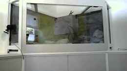 Video Einrichtung / Dekoration Malawibecken von Tobias.Neher (_pjWFM_kqik)